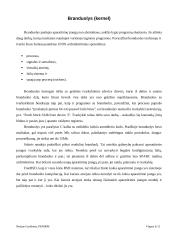 Operacinė sistema - Unix 4 puslapis