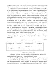 Organizacijų elgsenos 4 puslapis