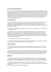 Pasakojamosios lietuvių tautosakos žanrai 3 puslapis