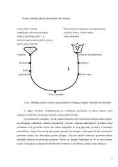Pasakų terapija 3 puslapis