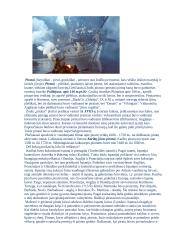 Piratai, piratų vėliavos 3 puslapis