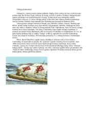 Piratai, piratų vėliavos 6 puslapis