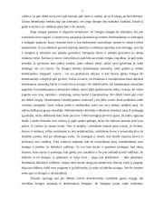 Filosofinio veikalo „Platonas. Valstybė“. VIII – X knygos aprašymas 4 puslapis