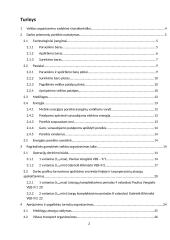 Pramonės gamybinio padalinio (įmonės) organizavimas 2 puslapis