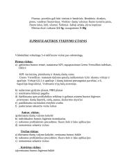 Prenatalinė karieso profilaktika 8 puslapis