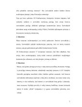 Problemų savivaldybėje aprašymas 3 puslapis