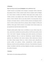 Problemų savivaldybėje aprašymas 4 puslapis