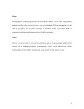 Problemų savivaldybėje aprašymas 5 puslapis