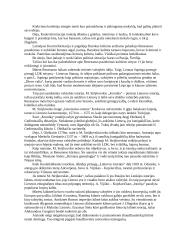 Renesansas ir humanizmas Lietuvoje: kultūra, universitetas, mokslas 5 puslapis