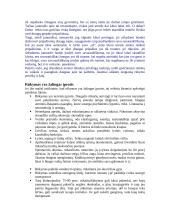 Rūkymo paplitimas, priežastys ir prevencijos 3 puslapis
