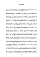 Savęs analizė 2 puslapis