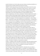 Savęs analizė 3 puslapis