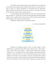 Savianalizė pagal Maslow poreikių piramidę 3 puslapis