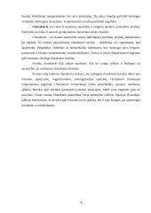 Savo asmenybės analizė, remiantis įvairiomis tipologijomis 4 puslapis