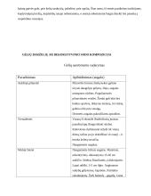 Sodybos etnografinio darželio analizė 11 puslapis