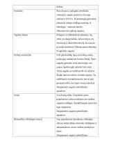 Sodybos etnografinio darželio analizė 12 puslapis