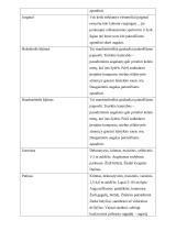 Sodybos etnografinio darželio analizė 13 puslapis
