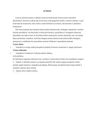 Sodybos etnografinio darželio analizė 2 puslapis