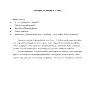 Sodybos etnografinio darželio analizė 3 puslapis