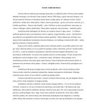 Sodybos etnografinio darželio analizė 4 puslapis