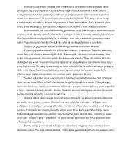 Sodybos etnografinio darželio analizė 5 puslapis