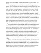 Sodybos etnografinio darželio analizė 6 puslapis