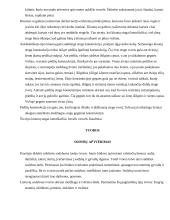 Sodybos etnografinio darželio analizė 8 puslapis