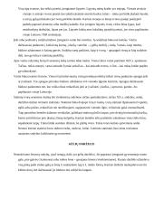 Sodybos etnografinio darželio analizė 9 puslapis