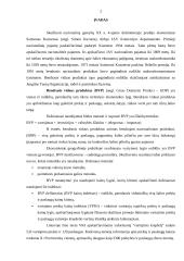 Statistikos tyrimas: Lietuvos bendrasis vidaus produktas (BVP) 2003-2007 metais 2 puslapis