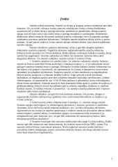 Sutartys ir jų rūšys 3 puslapis