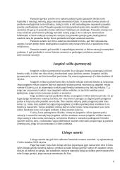 Sutartys ir jų rūšys 6 puslapis