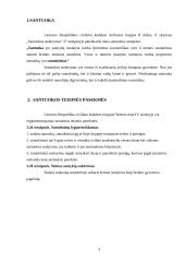 Sutuoktinių turtinės teisės ir pareigos 3 puslapis