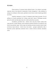 Sutuoktinių turtinės teisės ir pareigos 8 puslapis