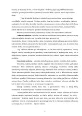 Lietuvos darbo rinkos problematika 4 puslapis