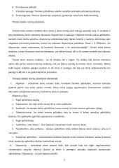 Teisės normos ir principai 2 puslapis