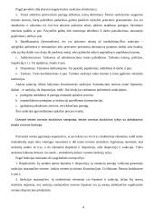 Teisės normos ir principai 4 puslapis