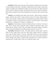 Dominuojantis temperamento tipas 7 puslapis