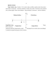 Dominuojantis temperamento tipas 8 puslapis