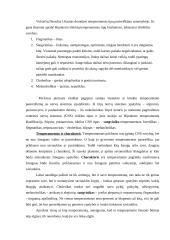 Žmogaus charakteris ir temperamentas 2 puslapis