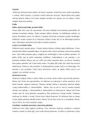 Vaiko ir paauglio stebėjimo analizė 3 puslapis