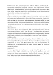 Vaiko ir paauglio stebėjimo analizė 4 puslapis