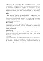 Vaiko ir paauglio stebėjimo analizė 8 puslapis