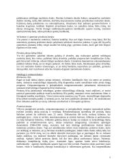 Vaikų burnos chirurgija 5 puslapis