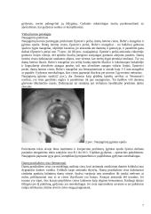 Vaikų burnos chirurgija 7 puslapis