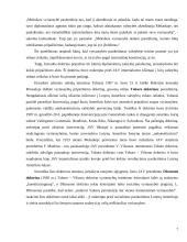 Vyriausybių pripažinimas 7 puslapis