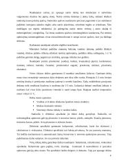 Virtos mėsinės rūkytos dešros 4 puslapis