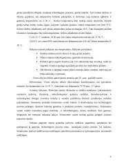 Virtos mėsinės rūkytos dešros 6 puslapis
