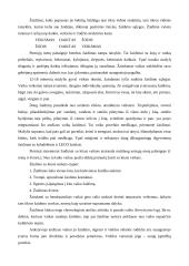 Žaidimų raida ankstyvajame amžiuje 3 puslapis