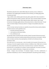 Žmogaus teisės ir žiniasklaida 3 puslapis