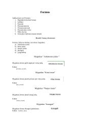 Žurnalų prenumeratos duomenų bazė 4 puslapis